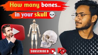 How many bones in your skull without ear ossicles and body [upl. by Redleh]