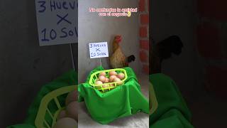 La gallina vendiendo huevos gallinas mascotas funnyshorts [upl. by Elawalo234]