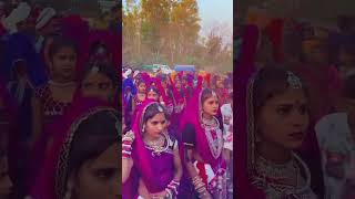 Vikash morya sohan morya sapna pancholi new timli 2024 Asali Bhadali kaje patad Desi dance video 🕺 [upl. by Agon]