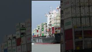 YM CERTAINTY SHARP TURN ship containership cargoship shipspotting [upl. by Htieh]