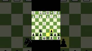 STAFFORD GAMBIT [upl. by Reffineg]