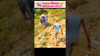 GTA 5 Primis help to Elephants🐘 CONFIGURACIÓN PERFECTA para SAMSUNG A3A5A6A7J2J5J7 shorts [upl. by Bayly]