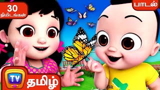 பட்டாம்பூச்சி பாடல்  Pattampoochi Butterfly – ChuChu TV Baby Songs Tamil  Rhymes Collection [upl. by Eninaj747]