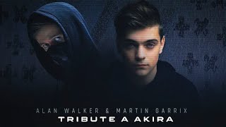 Martin Garrix Style amp Alan Walker  Tribute to Akira New Song 2024 [upl. by Hasseman]