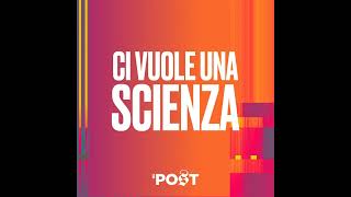 Le microplastiche e la nostra salute 20 anni dopo [upl. by Ettelrahc]