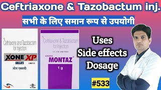 Ceftriaxone and tazobactam for injection  ceftriaxone tazobactam injection in hindi [upl. by Gilburt]