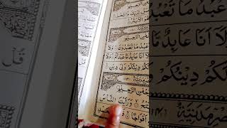 Egeon Ibrahimi recitation surah nasr [upl. by Nitin]