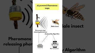 AIpowered pheromone traps for IPM [upl. by Kittie]