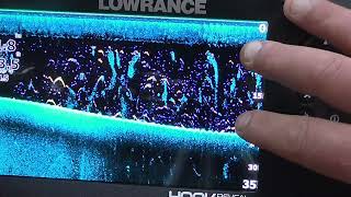 quotLowrance Hook Reveal 7X Tripleshotquot  DSM Store Italia [upl. by Killion]