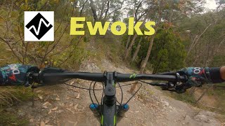 Ewoks MTB  Cleland Conservation Park [upl. by Lennod]