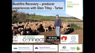 Glen Tilley  Bushfire Recovery [upl. by Aicnom]