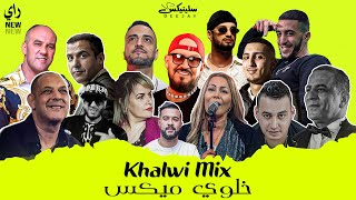 DJ Slinix  Khalwi Mix  Rai Music 2024 [upl. by Fraya]