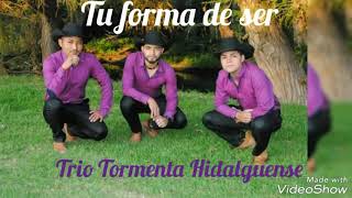 Trio Tormenta Hidalguense 2018 Tu Forma De Ser [upl. by Shipman]