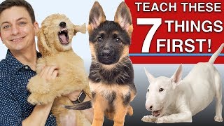 How to Teach The First 7 Things To Your Dog Sit Leave it Come Leash walking Name [upl. by Manheim]