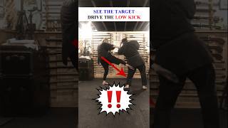 How To Do KEMPO Low Kick in a FIGHT 💥 Shorts Kempo Karate [upl. by Northway623]