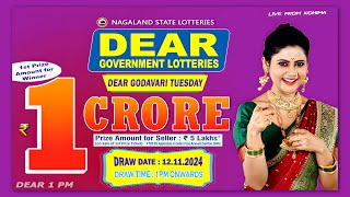 LOTTERY LIVE 1PM TODAY 12112024  Morning Nagaland Lottery Sambad LIVE [upl. by Nalrah]