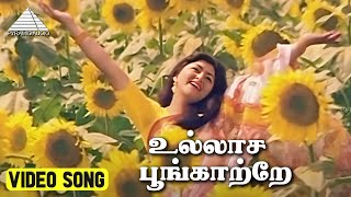 உல்லாச பூங்காற்றே Video Song  Kolangal Movie Songs  Jayaram  Kushboo  Ilaiyaraaja [upl. by Ahsian910]