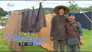 6시내고향창원 천연염색 대장 없이는 못 살아  경남 진주 20170731 월 [upl. by Ahsilif560]