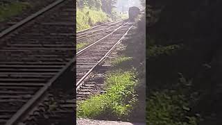 Class s8 stopping at Ganemulla Railway Station s8 srilankanrailway Ganemulla [upl. by Yeltrab]