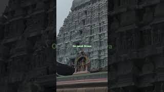 Tiruvannamalai temple arunachala girivalam idakki pilaeyargiligopuram arunagiri hills [upl. by Ahserak132]