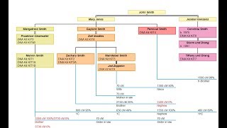 Charting Companion DNA Matrix [upl. by Torosian312]