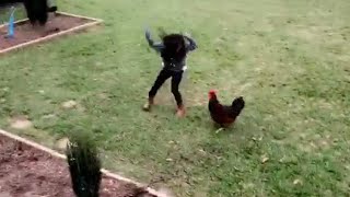 Hilarious Rooster Attack on Little Girl  WooGlobe Funnies [upl. by Telimay]