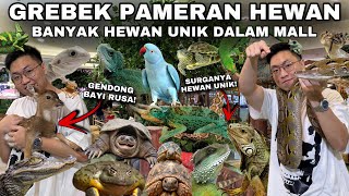 PAMERAN HEWAN DI DALAM MALL PALING UNIK DAN BANYAK HEWANHEWAN ANEH DISINI [upl. by Etnoled]