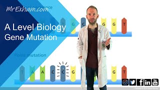 Gene mutation  A Level Biology [upl. by Itoc]