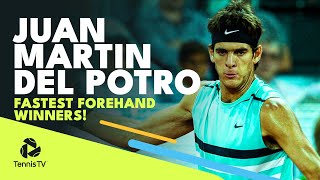 Juan Martin del Potros Fastest Ever ATP Forehand Winners 💥 [upl. by Tenneb]