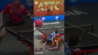 Best backhand TOP SPIN ittf pingpong tabletennis asia japon تنیسرویمیز پینگپنگ [upl. by Dnomyad590]