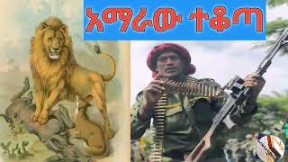 New Amhara fano kererto አማራው ተቆጥቶ ተነስቷል ፋኖ [upl. by Aicened]