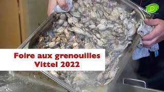 Foire aux grenouilles 2022 [upl. by Albric]