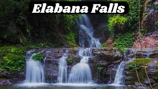 Lamington National Park walk to Elabana Falls in the Gold Coast Hinterland [upl. by Corny]