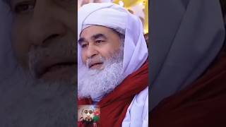 Kin parindon ki beat paak hoti hai maulana ilyas qadri dawateislami [upl. by Newton866]