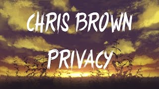 Chris Brown  Privacy Female VersionLyrics [upl. by Suravart]