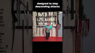 CRAZY Sword Trick to Stop getting bonked Kron sword martialarts funny [upl. by Plantagenet]