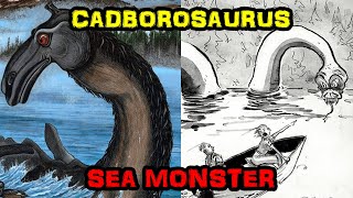 The Cadborosaurus  Mysterious SerpentLike Sea Monster [upl. by Nnylsoj]