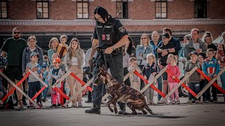 Tag der Wiener Polizei 2024  Hundestaffel amp Einblicke [upl. by Lemert]