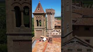 Bolgheri Tuscany 🇮🇹 shorts italy dronevideo travel beautifuldestinations landscape [upl. by Regnig292]