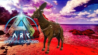 Nouveau Dinosaure Le Sivatherium Sur Ark Ascended  ARK Wilds Sivatherium [upl. by Tobiah]