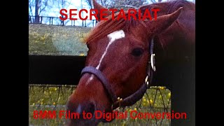 SECRETARIAT THE most famous Racehorse in History [upl. by Yebloc]