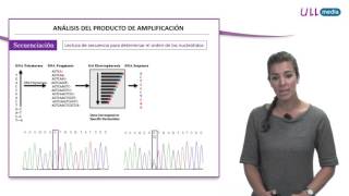 Técnicas moleculares para el análisis genético [upl. by Mollie]