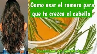 🍀💆‍♀Cómo hacer crecer el cabello muy rápido con romero 100 eficaz [upl. by Auston]