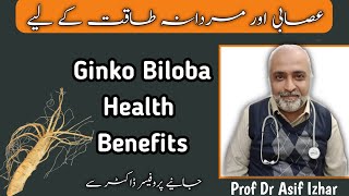 Ginkgo Biloba Benefits In UrduHindi  Ginkgo Biloba Side Effects  Dr Asif Izhar [upl. by Atimad]