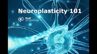 Neuroplasticity 101 How to build a Better Brain [upl. by Anail]