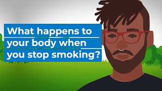 What happens to your body when you stop smoking  Bupa Health [upl. by Anse]