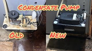 Condensate Pump Replacement  Hard Wire [upl. by Audwen]