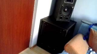 Boxe Alien 10 inchSubwoofer Cerwin Vega CVP 118 [upl. by Kraus]