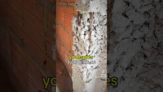 Los Arquitectos e Ingenieros cobran muy Caro arquiluisangel viral construccion albañil arqui [upl. by Twedy]