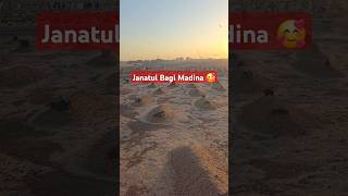 Janatul Baggi Madina 🥹 madina viralvideo [upl. by My]